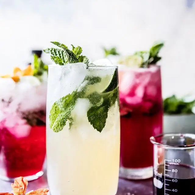 KOMBUCHA MOJITO Salt Gypsy